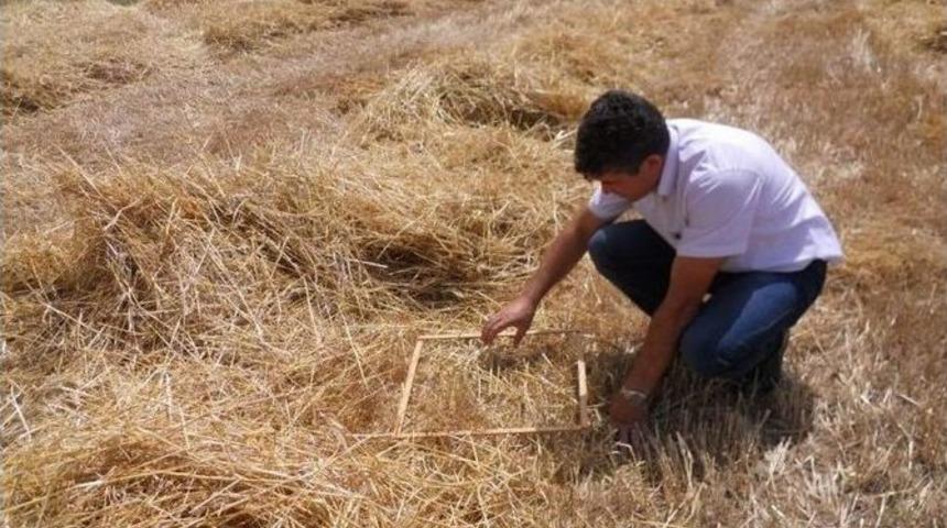 Dalaman&rsquo;da Bi&ccedil;erd&ouml;ver Kontrolleri Başladı