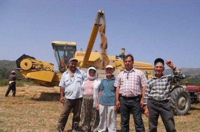 Dalaman&rsquo;da Bi&ccedil;erd&ouml;ver Kontrolleri Başladı 1