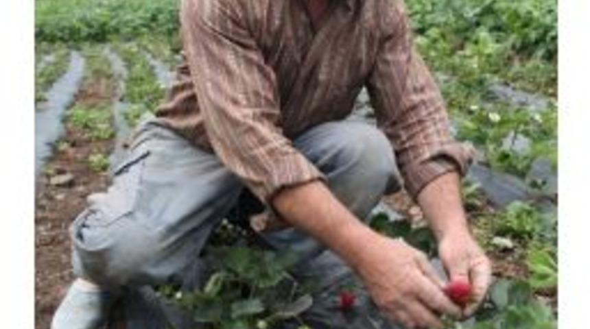 Trabzon&rsquo;da &Ccedil;ilek Yetiştiriciliği Gelişiyor