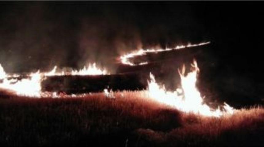 50 D&ouml;n&uuml;ml&uuml;k Tarla Yandı