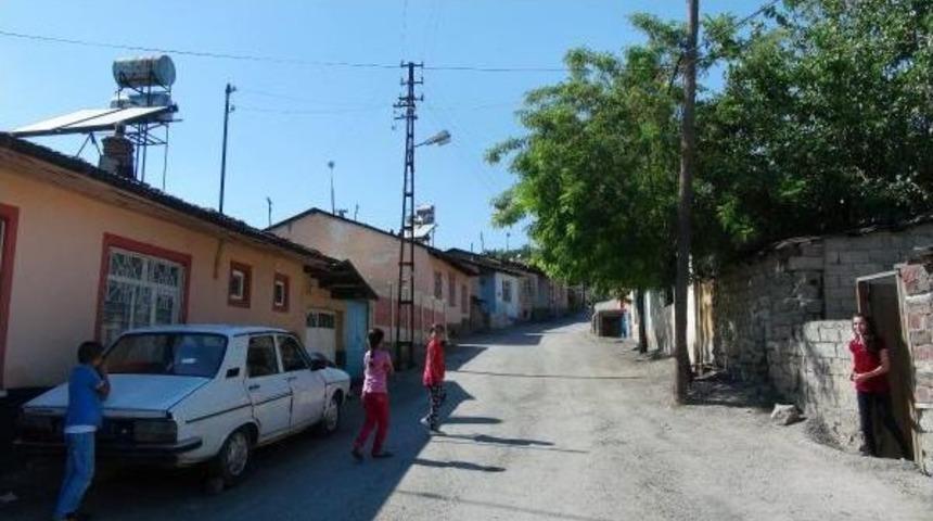 Elektrik Direğindeki Ka&ccedil;ak &Ouml;ld&uuml;r&uuml;yordu