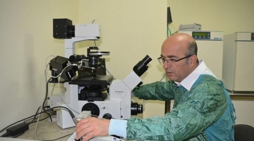 Sd&uuml; Tıp&rsquo;ta Hedef, T&uuml;p Bebek Uzmanı Yetiştirmek