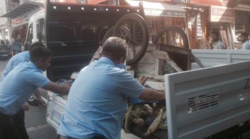 Zabıta Seyyara G&ouml;z A&ccedil;tırmıyor