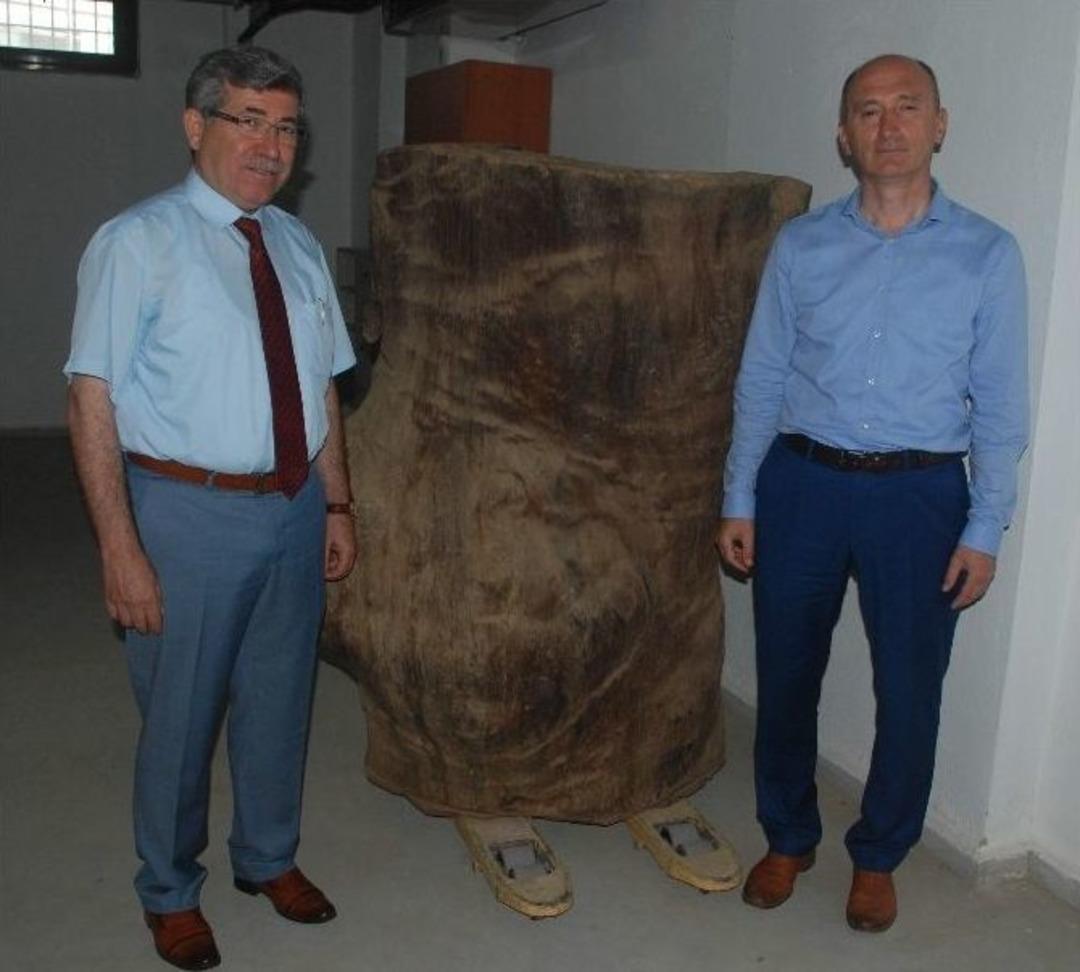 200 Yılık K&uuml;t&uuml;k Ambara Devlet Kuşu Kondu