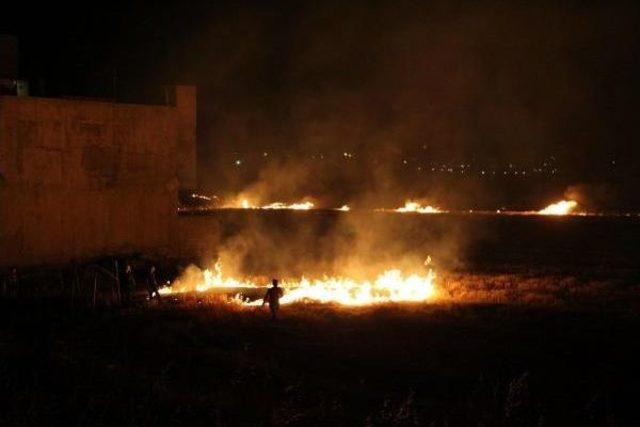 Nusaybin'de Yakılan Anızlar Ilçe Sakinlerini Korkuttu