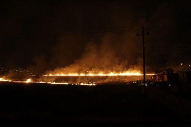 Nusaybin'de Yakılan Anızlar Ilçe Sakinlerini Korkuttu