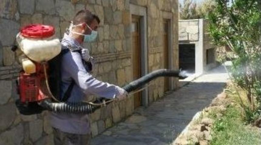 G&ouml;k&ccedil;eada Sezona Hazırlanıyor