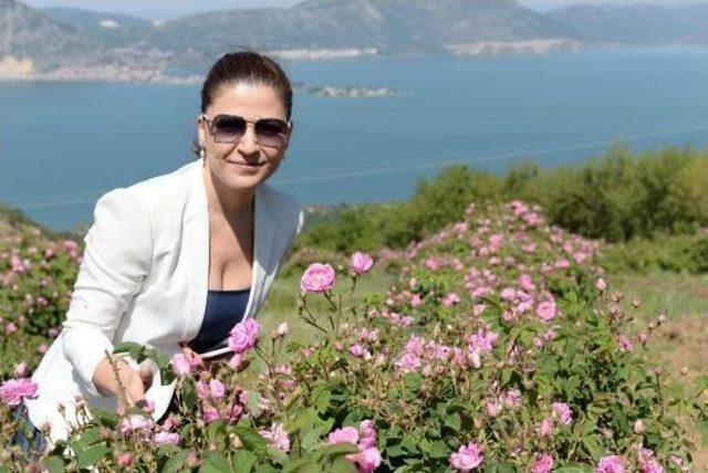 Made A Difference With Isparta Rose, Opened Up To The World