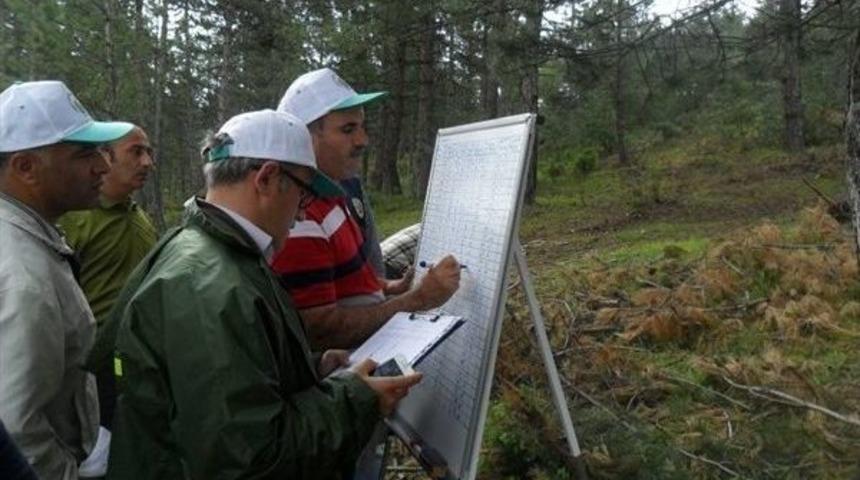 Ormanlara Sağlık Karnesi