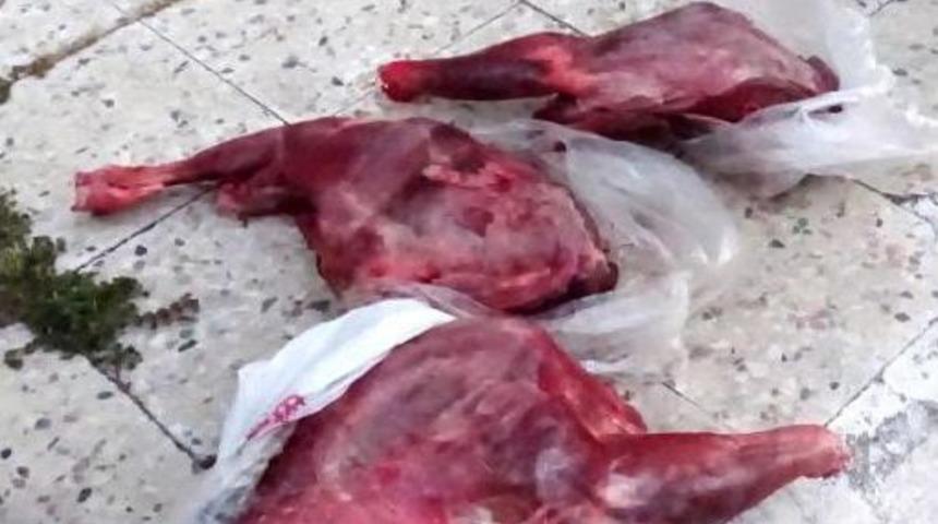 Ka&ccedil;ak Avcıya 17 Bin Lira Ceza