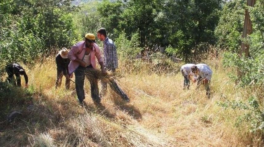 Bitlis Belediyesi Mezarlıkları Temizliyor