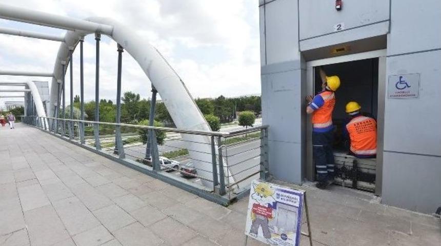 Asans&ouml;rlere Verilen Zarar Engellileri Vuruyor