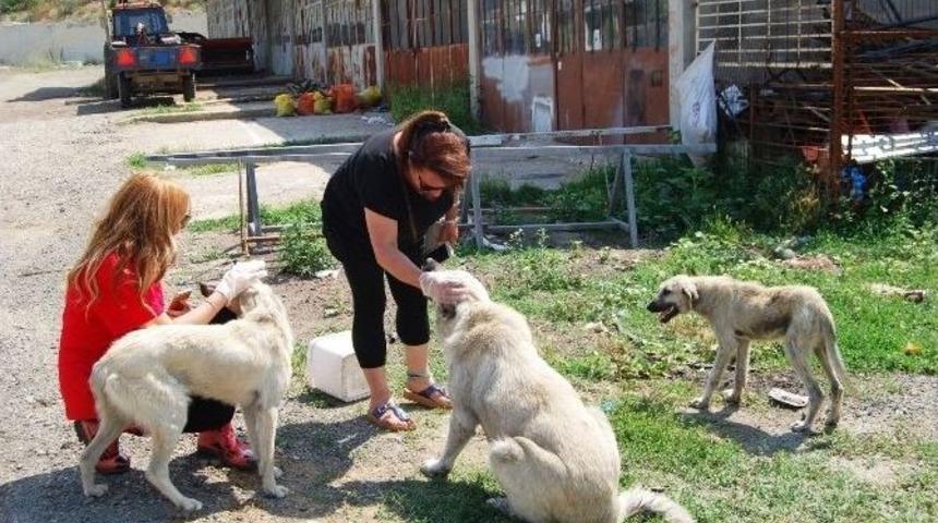 İstanbullu Hayvanseverler Malkara&rsquo;da