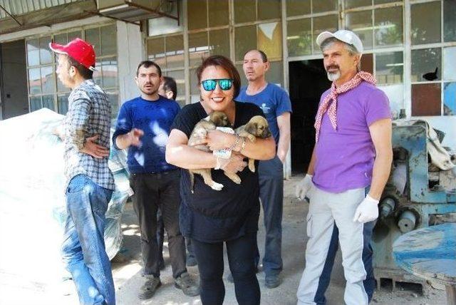 İstanbullu Hayvanseverler Malkara&rsquo;da 1