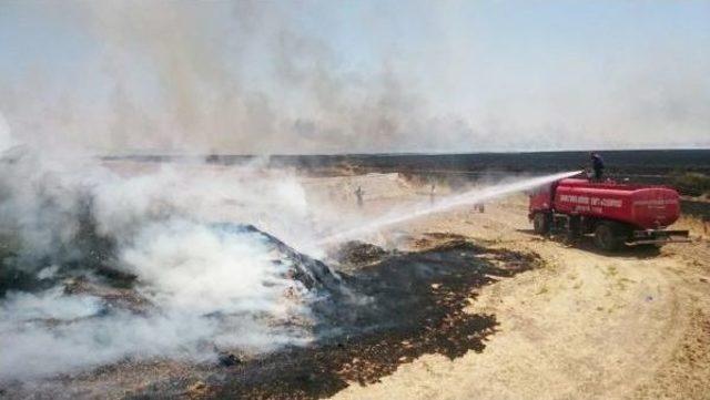Şanlıurfa da Anız Yangınında 50 Ton Saman Kül Oldu 1
