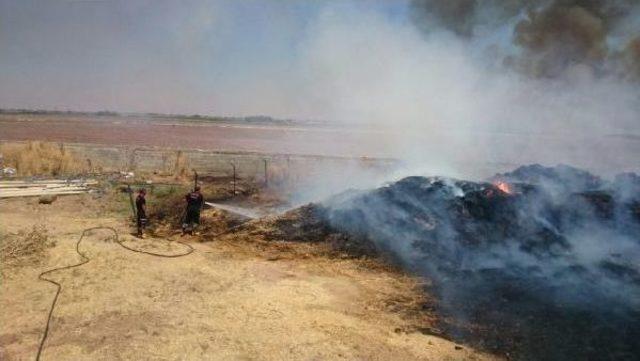 Şanlıurfa da Anız Yangınında 50 Ton Saman Kül Oldu 2
