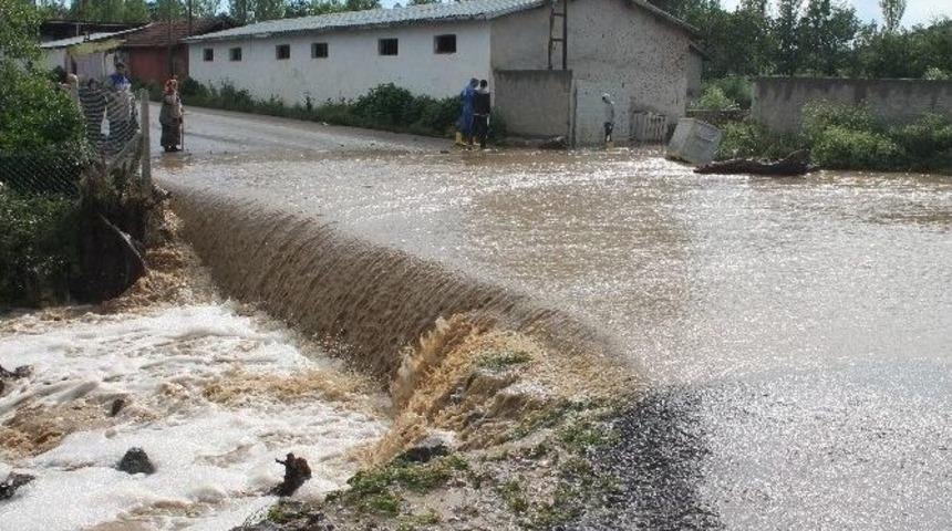 Başkent&rsquo;te Aşırı Yağış Dereyi Taşırdı, 22 Hayvan Telef Oldu