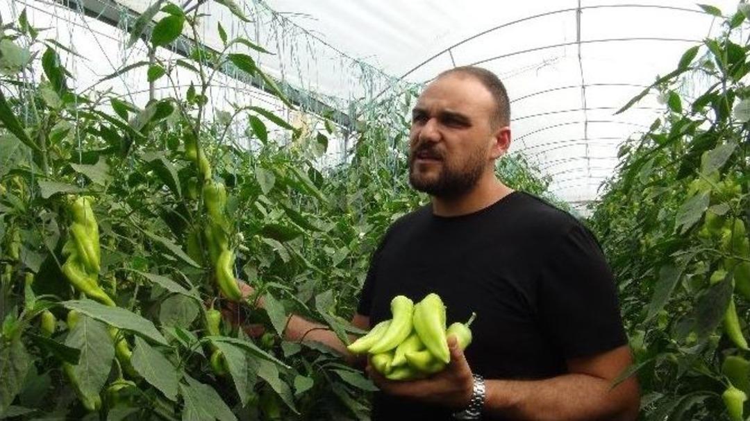 Mersinli Biber &Uuml;reticilerine Hayat Veren Proje