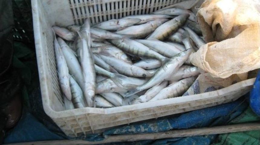 Beyşehir&rsquo;de Boy Limiti Kuralına Uymayan Balık&ccedil;ılara Ceza