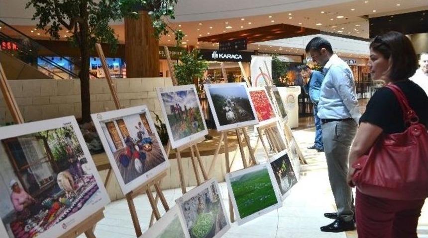 "tarım Ve İnsan" Sergisi A&ccedil;ıldı