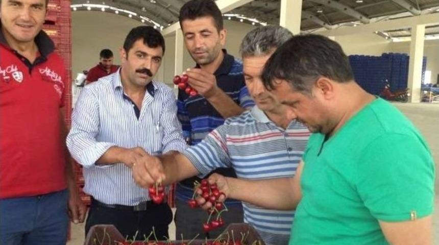 1 Bardak &Ccedil;ay Fiyatına 1 Kilo Kiraz