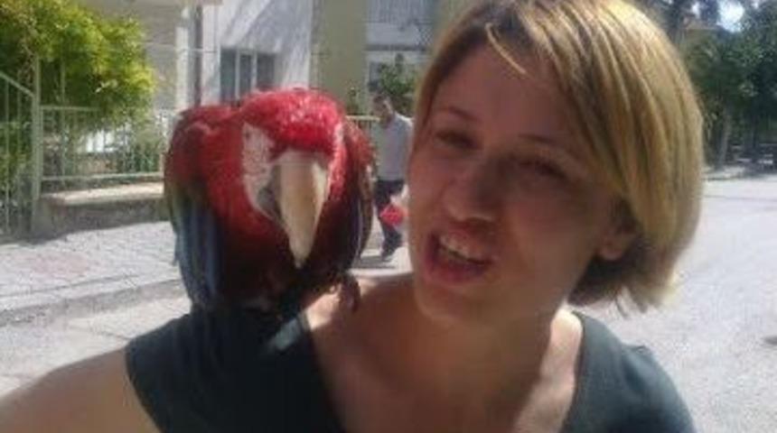 Yaramaz &lsquo;sevgi&rsquo;yi İtfaiye Kurtardı