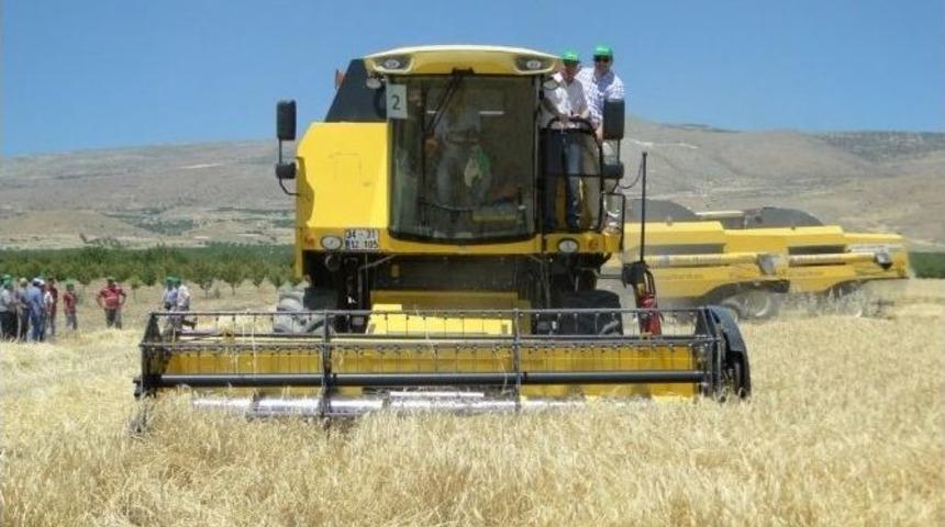 Tohumluk Arpa Ve Buğday Hasadı Başladı