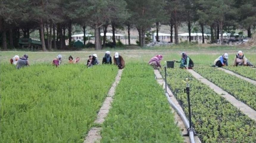 Ty&ccedil;p İş&ccedil;ilerinden Tam Verim