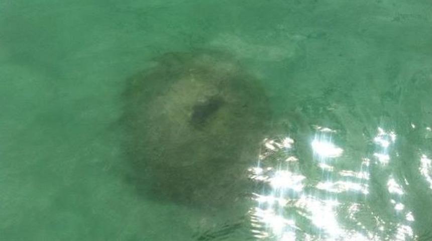 Didim'de Denizde Bulunan Birinci D&uuml;nya Savaşı'ndan Kalma Mayın Patlatıldı