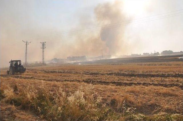 Kızıltepe’de Anız Yangını Nedeniyle 50 Kişi Hakkında Tutanak Tutuldu