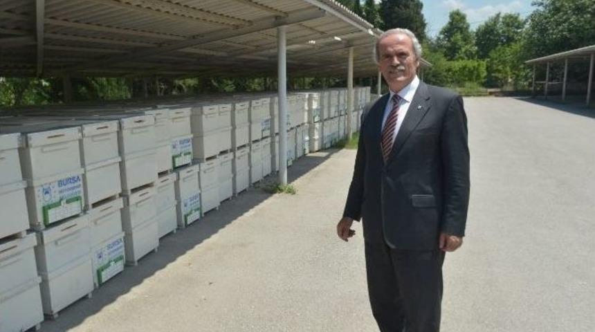 Bursa&rsquo;da Arı Yetiştiricilerine 450 Kovan Dağıtıldı