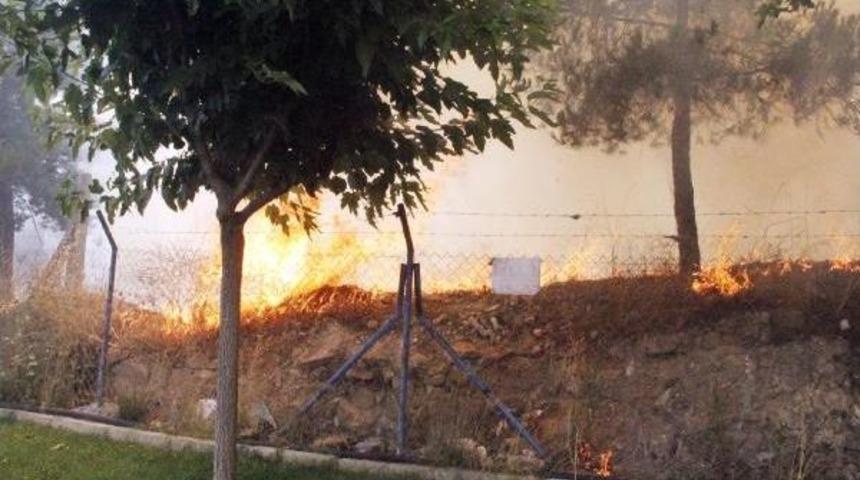 Şanlıurfa’Da Ormanlık Alanda Yangın