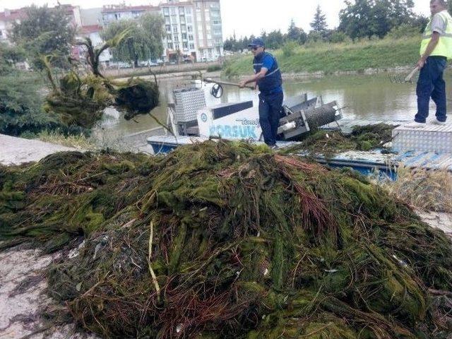 Porsuk Çayı Yosunlardan Arındırıldı