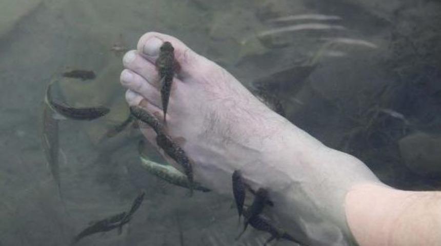 Sivas'taki Balıklı Kaplıca'ya Kardeş Geliyor