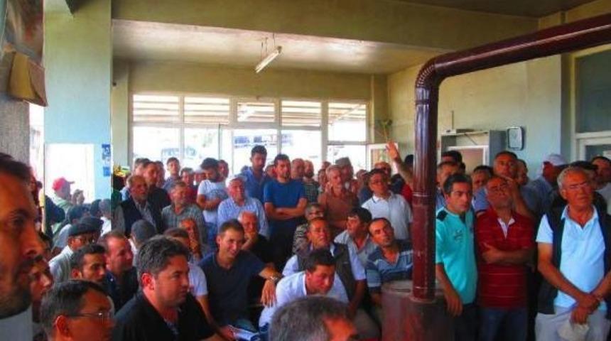 Kadınlardan Termik Santrale Hayır Eylemi