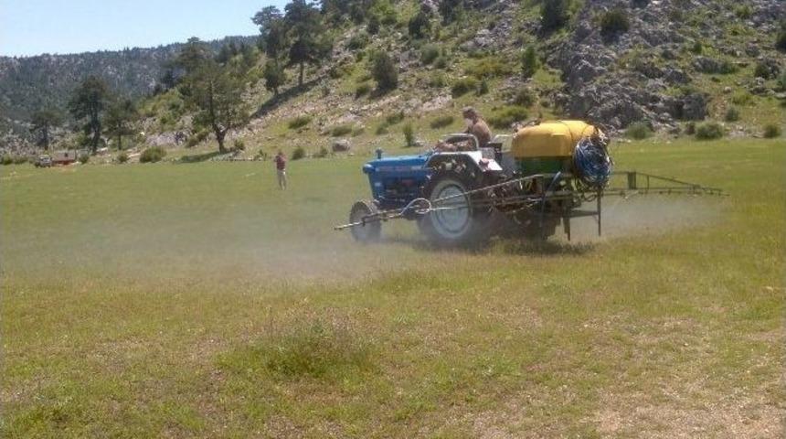 Beyşehir&rsquo;de Erken M&uuml;dahale &Ccedil;ekirge Zararlarını &Ouml;nledi