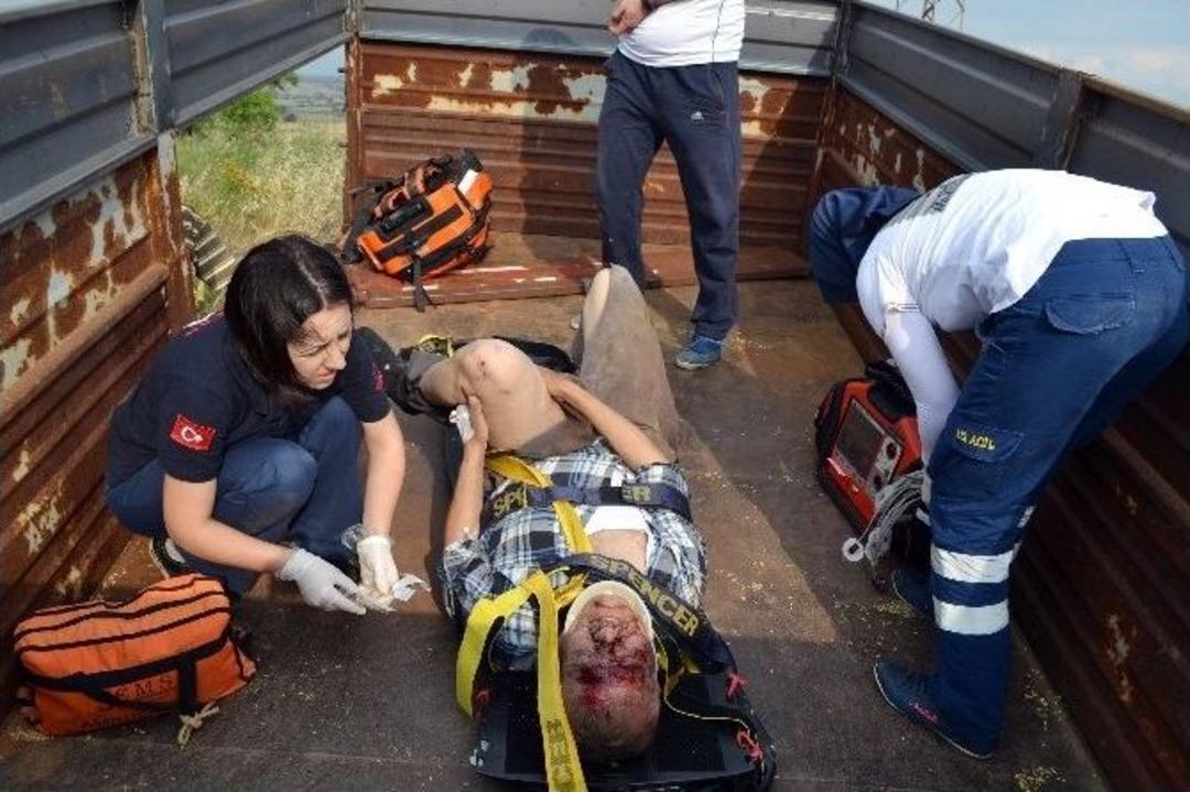 Dinlenmek İ&ccedil;in Oturduğu Kul&uuml;be &Uuml;zerine &Ccedil;&ouml;kt&uuml;