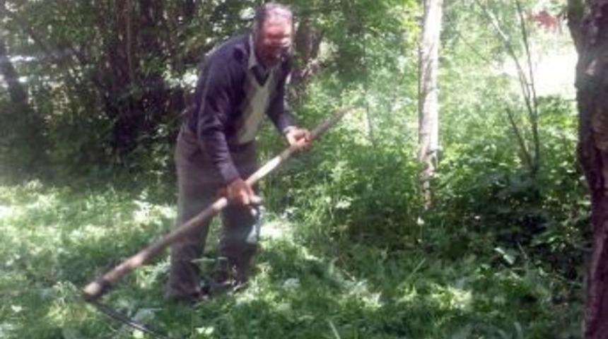 Tırpan Teknolojiye Yenilmedi