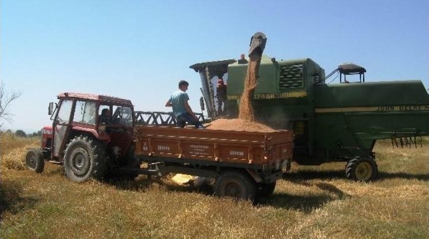 Samsun&rsquo;un Tarımsal Durumu
