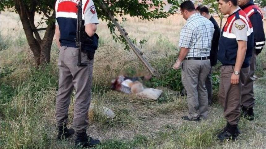 Taşlama Makinesiyle Budama Yaparken Kendisini Kesip &Ouml;ld&uuml;