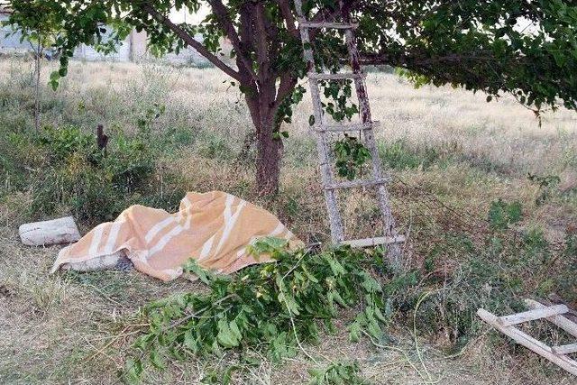 Taşlama Makinesiyle Budama Yaparken Kendisini Kesip Öldü