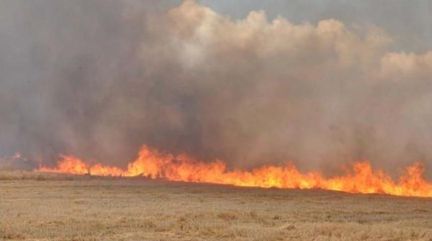 İslahiye'de Anız Yangını G&uuml;&ccedil;l&uuml;kle S&ouml;nd&uuml;r&uuml;ld&uuml;