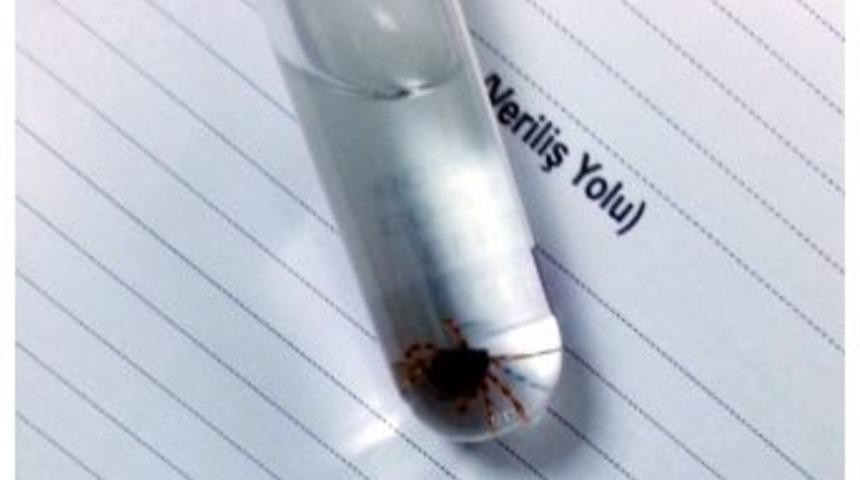 Adıyaman&rsquo;da Kenenin Isırdığı Gen&ccedil; Kız Hastaneye Kaldırıldı