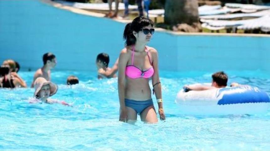 Sıcaktan Bunalan Havuza Koştu