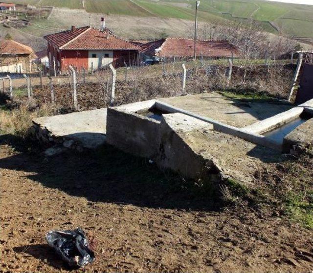 Yozgat'ta Öldürülen 12 Yaşındaki Sefa Ayan Cinayeti Davasında, Savcıya Ihmal Suçlaması