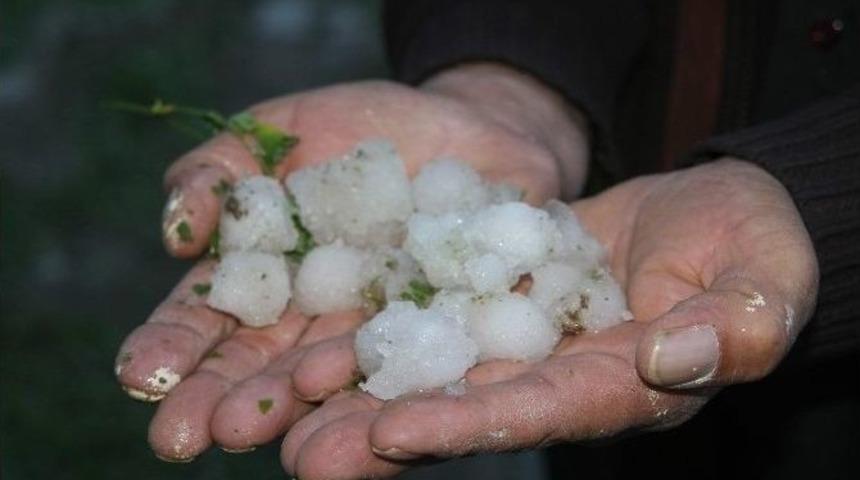 Yozgat&rsquo;ta Haziran Ayında D&uuml;şen Dolu 25 Bin Dekar Alana Zarar Verdi