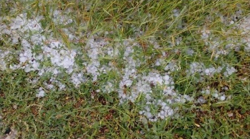 Aksaray&rsquo;da Ceviz B&uuml;y&uuml;kl&uuml;ğ&uuml;nde Dolu &Uuml;reticiyi Mağdur Etti