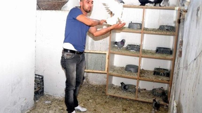 G&uuml;vercinleri &Ccedil;ocukları Gibi Seviyor