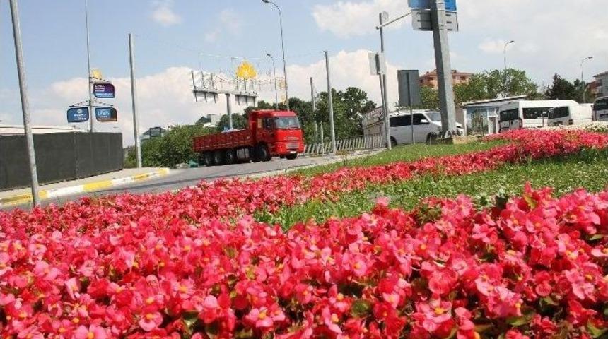 &Ccedil;i&ccedil;ekler, Sultanbeyli&rsquo;ye Renk Kattı