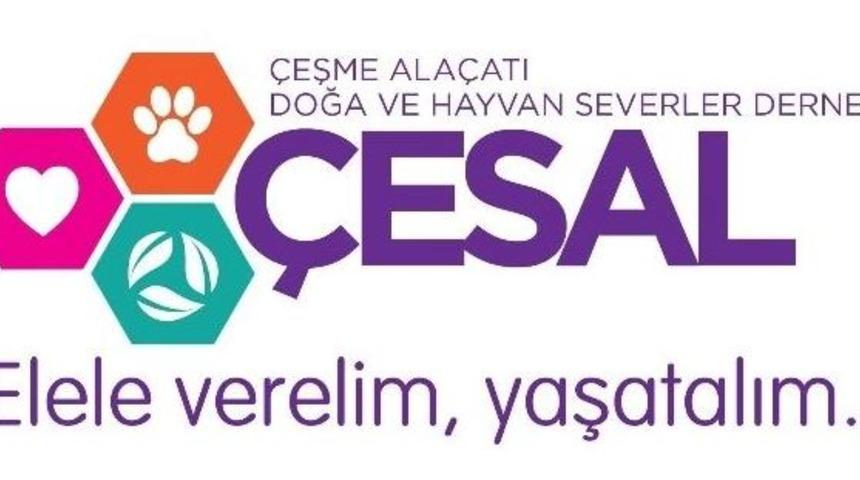 Hayvan Severler Derneğinden, Fatih Terim&rsquo;e Cevap